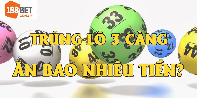 Thông tin về lô ba càng ăn bao nhiêu chi tiết nhất