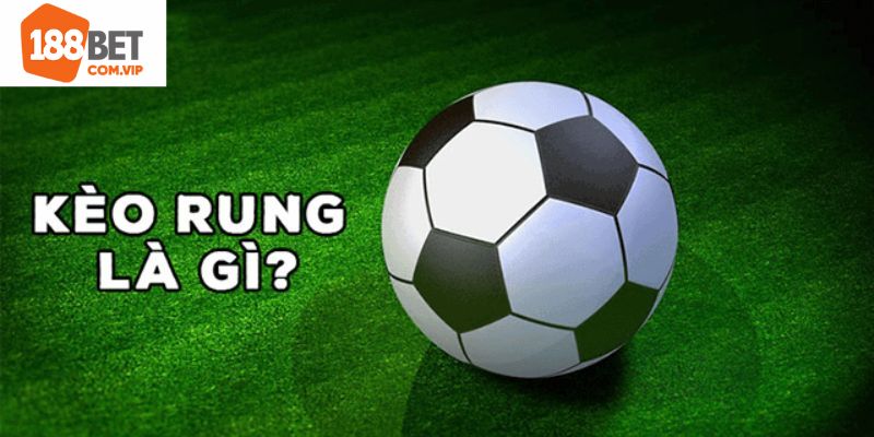 Đôi nét tổng quan về kèo rung là gì?