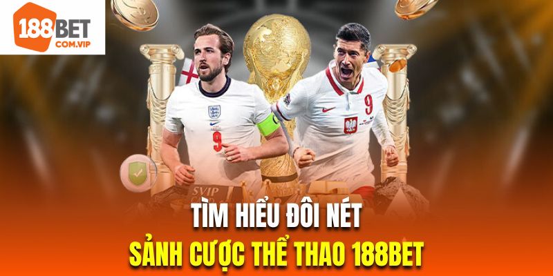 Đôi nét về sảnh cá cược sport hàng đầu