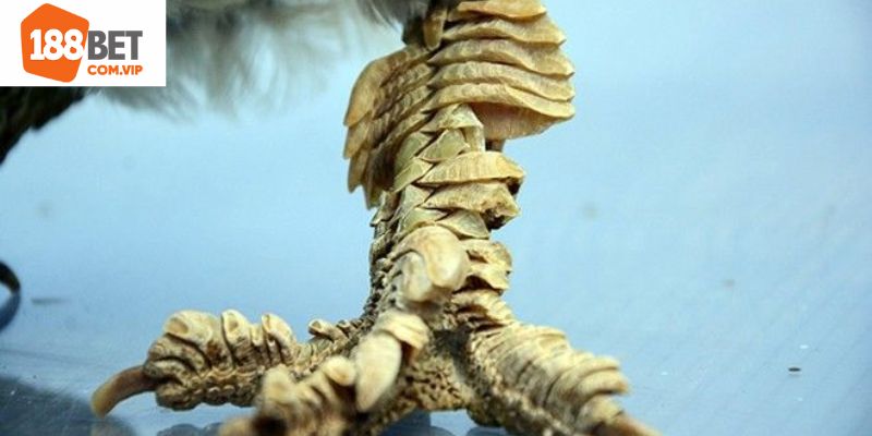 Các loại vảy dấu hiệu của thần kê